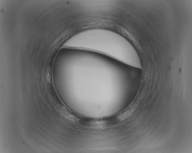 X0000068830313200605050925