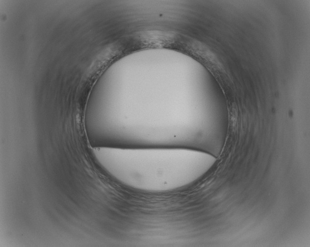 X0000068830314200605050925