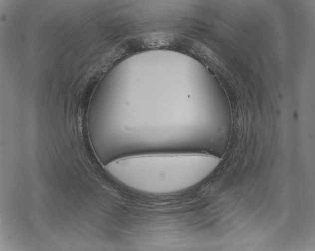 X0000068830315200605050925