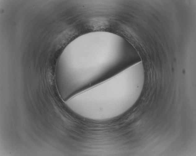 X0000068830316200605050925