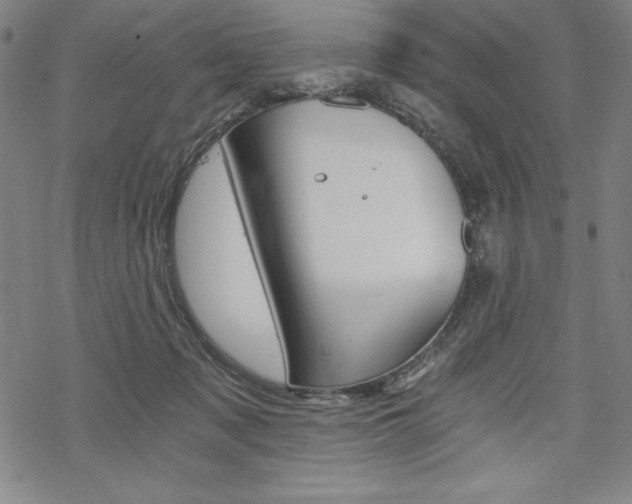 X0000068830317200605050925