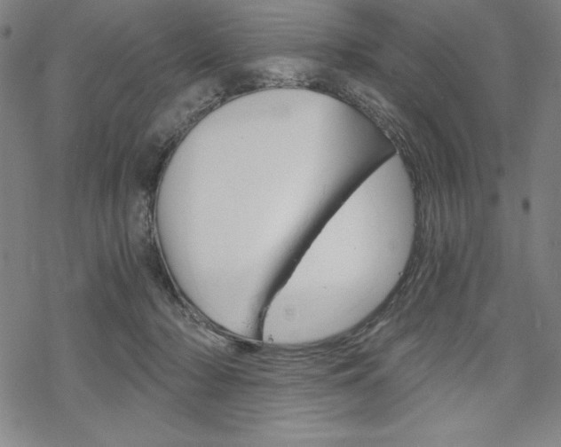 X0000068830318200605050925