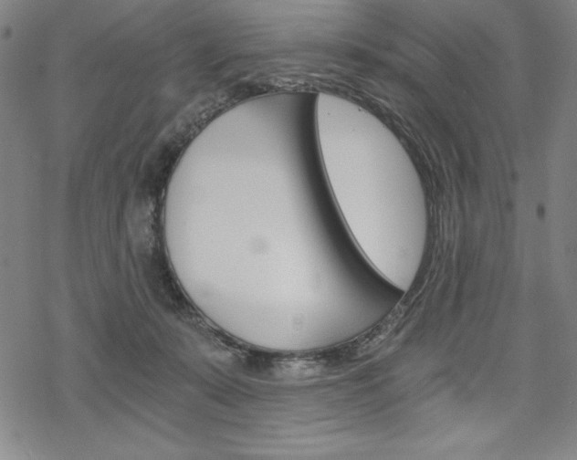 X0000068830319200605050925