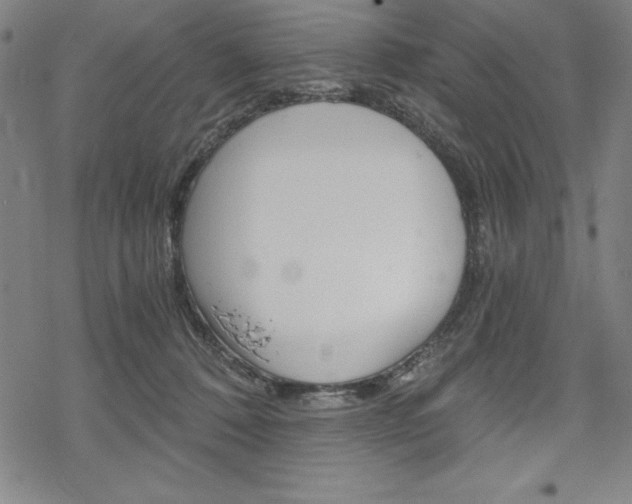 X0000068830320200605050925