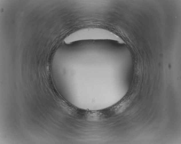 X0000068830321200605050925