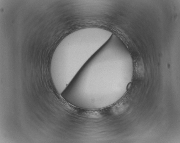 X0000068830322200605050925