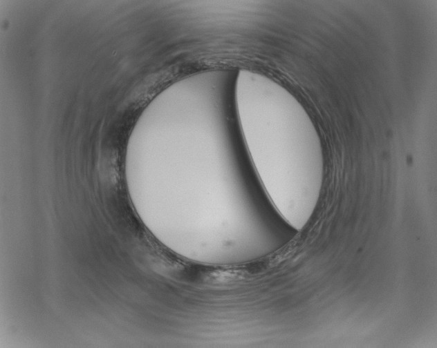 X0000068830323200605050925