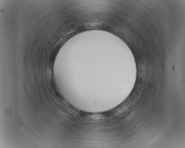 X0000068830324200605050925