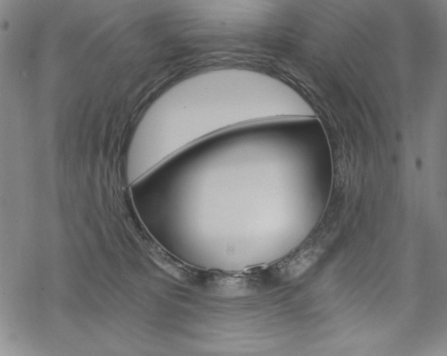 X0000068830325200605050925