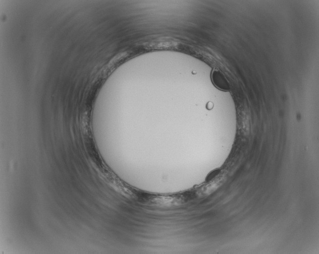 X0000068830326200605050924