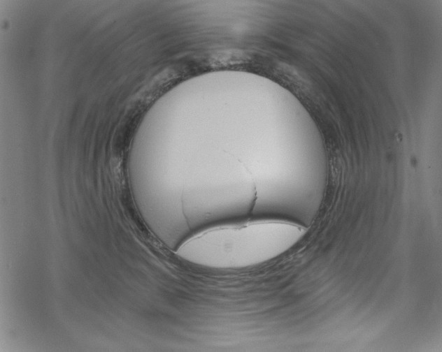 X0000068830327200605050924