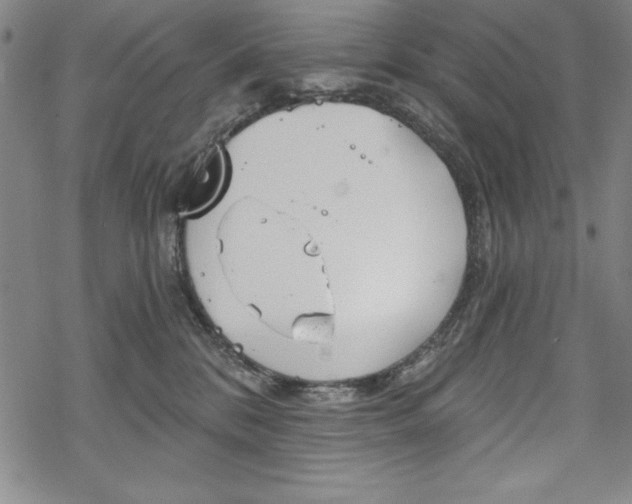 X0000068830328200605050924