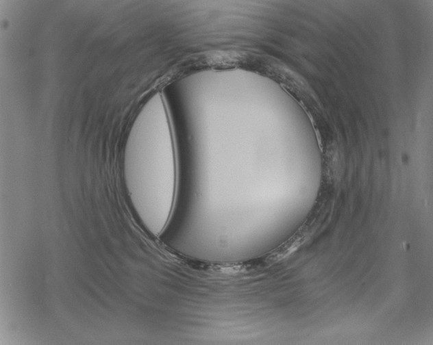 X0000068830329200605050924