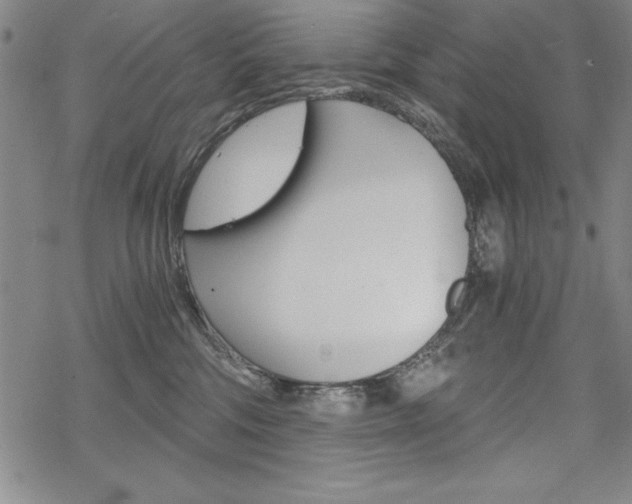 X0000068830330200605050924