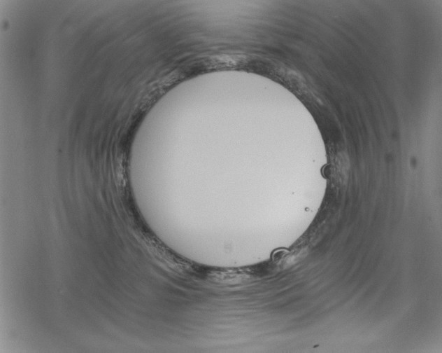 X0000068830331200605050924