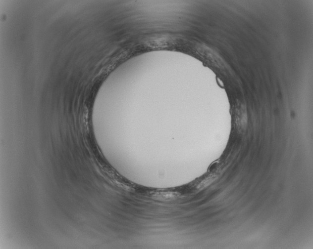 X0000068830332200605050924