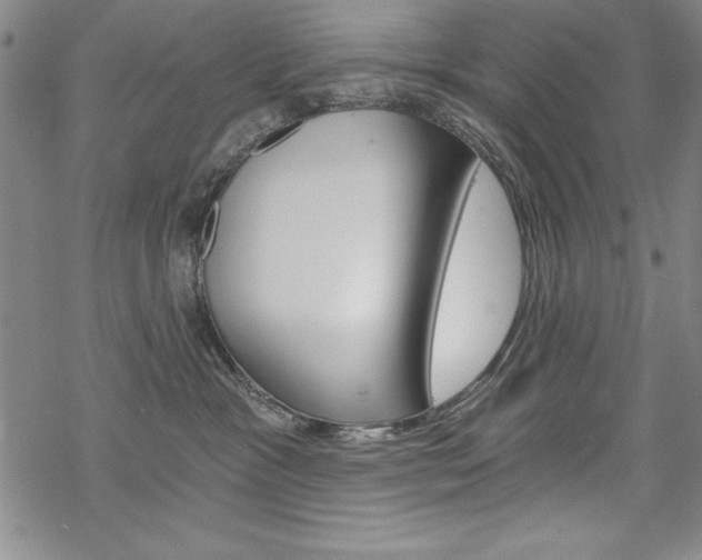 X0000068830333200605050924