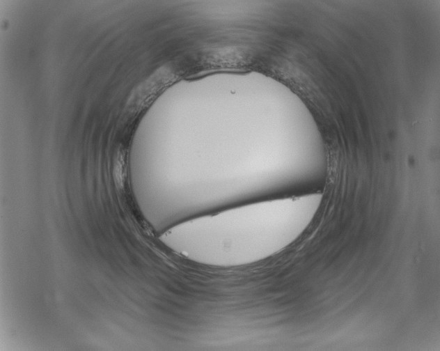 X0000068830334200605050924