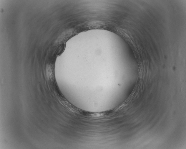 X0000068830335200605050924