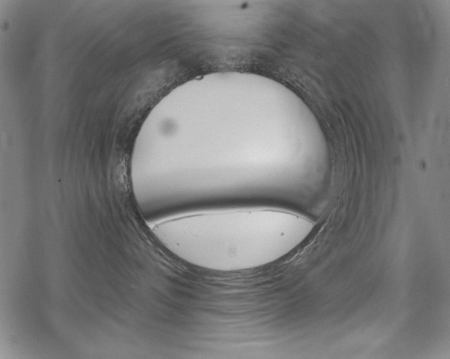 X0000068830336200605050924