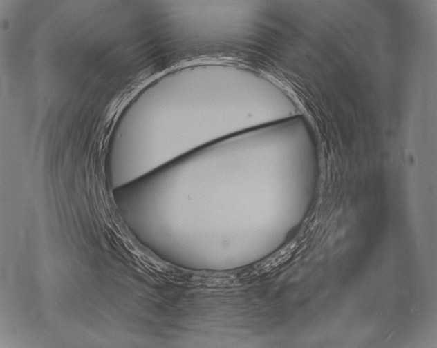 X0000068830337200605050923