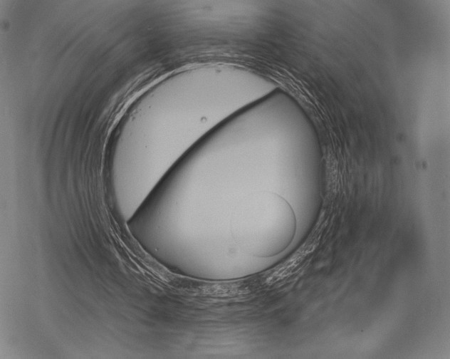 X0000068830338200605050924