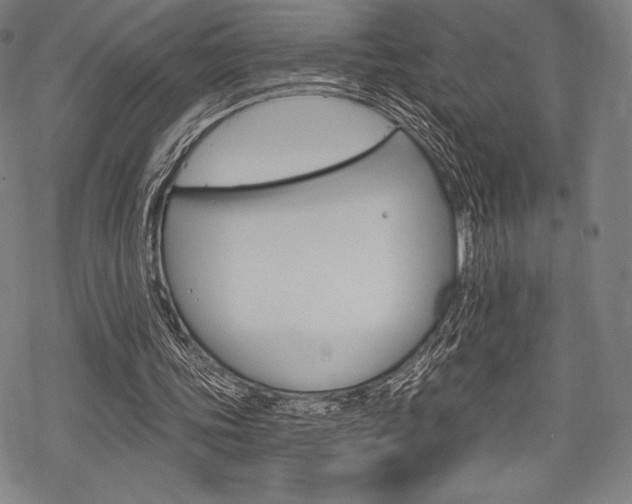 X0000068830339200605050924