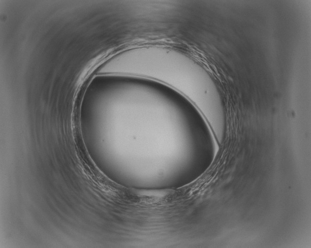 X0000068830340200605050924