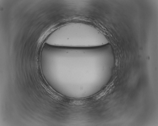 X0000068830341200605050924