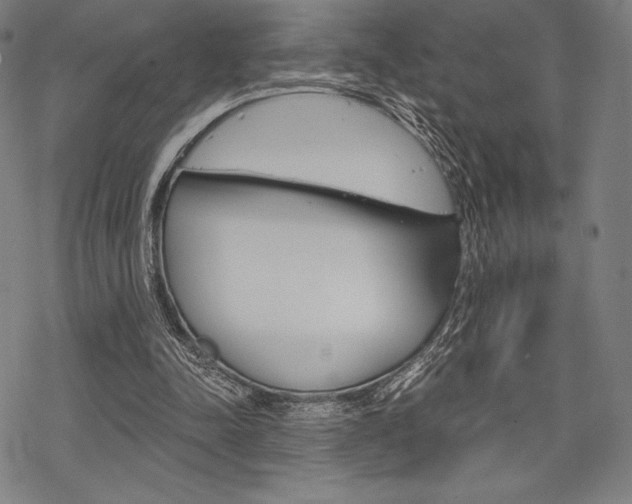 X0000068830342200605050924