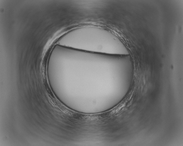 X0000068830343200605050924