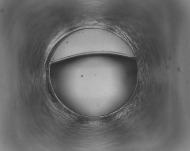 X0000068830344200605050924