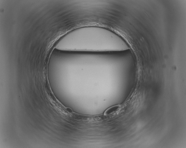 X0000068830345200605050924