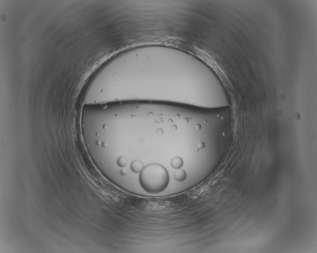 X0000068830346200605050924