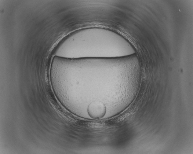 X0000068830347200605050924