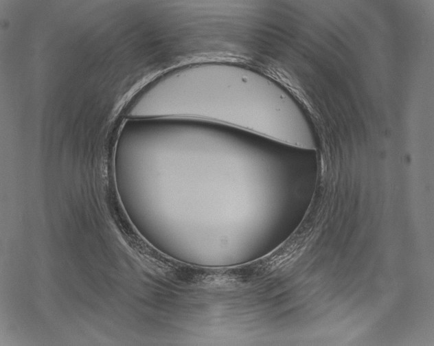 X0000068830348200605050924