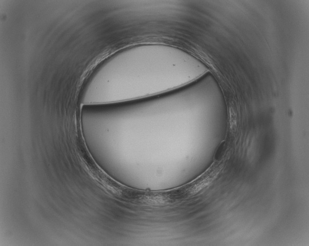 X0000068830349200605050924