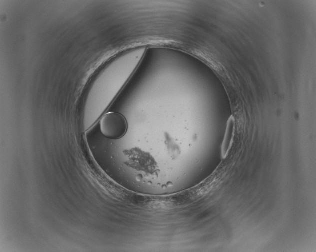 X0000068830350200605050924