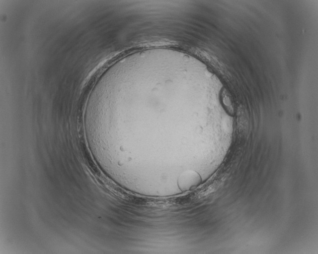 X0000068830351200605050924