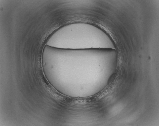 X0000068830353200605050924