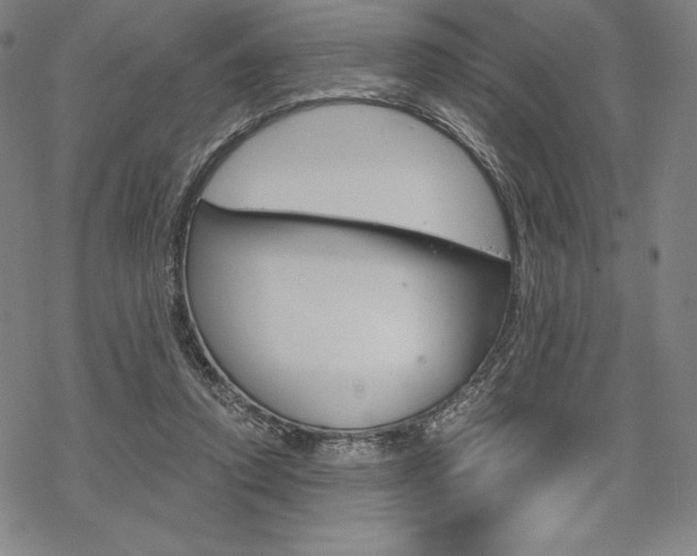 X0000068830354200605050924