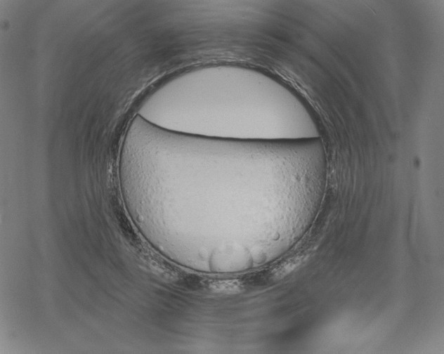 X0000068830355200605050924