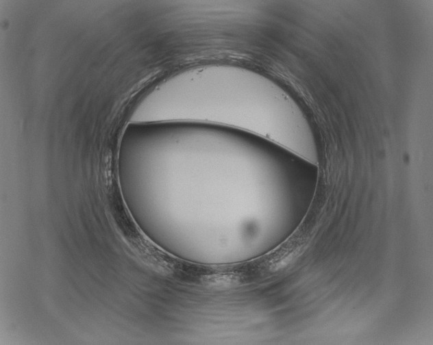 X0000068830356200605050924