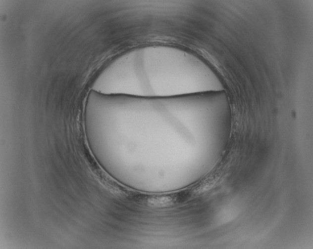 X0000068830357200605050924