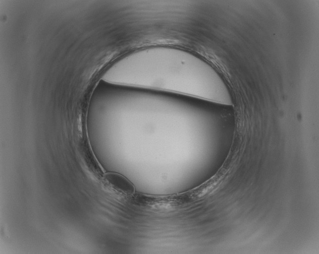 X0000068830358200605050924