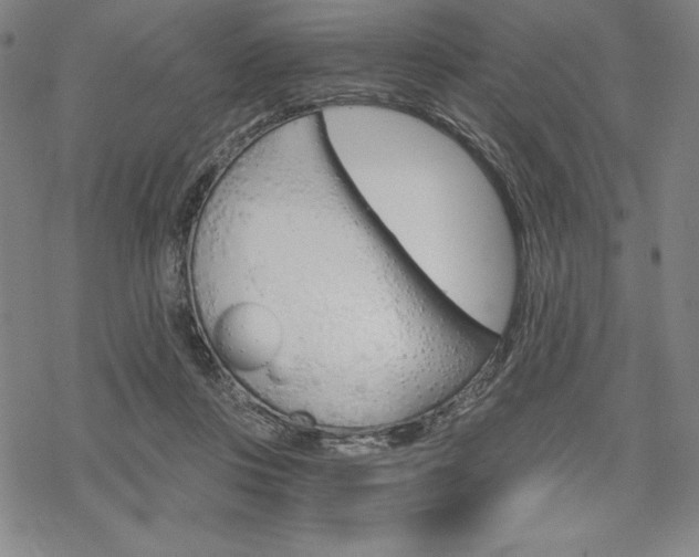 X0000068830359200605050924