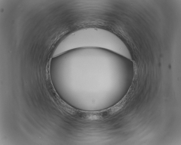 X0000068830360200605050924