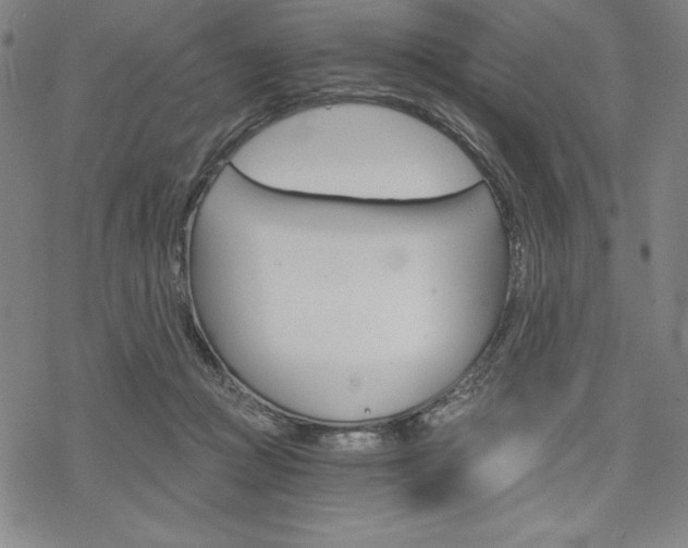 X0000068830361200605050924