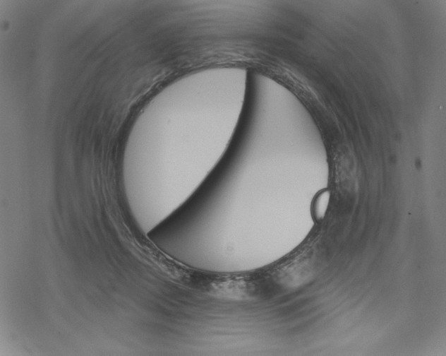 X0000068830362200605050924