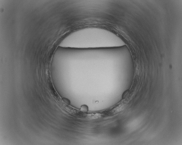 X0000068830363200605050924